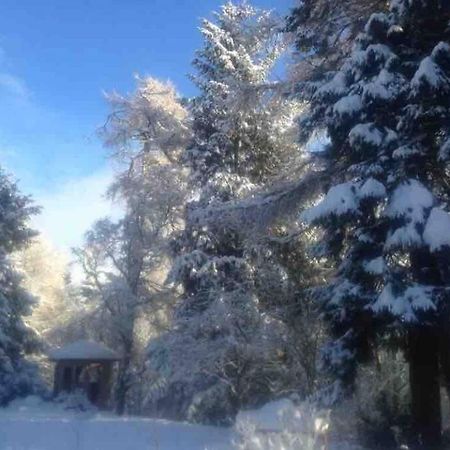 The Beeches Studio, Highlands Of Scotland Newtonmore Eksteriør bilde