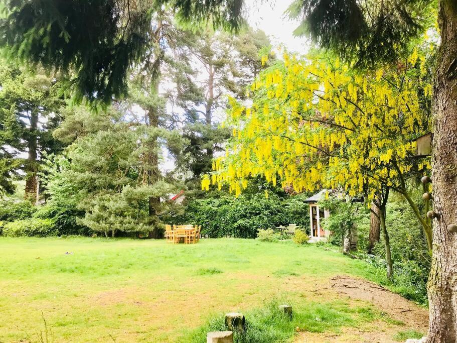The Beeches Studio, Highlands Of Scotland Newtonmore Eksteriør bilde
