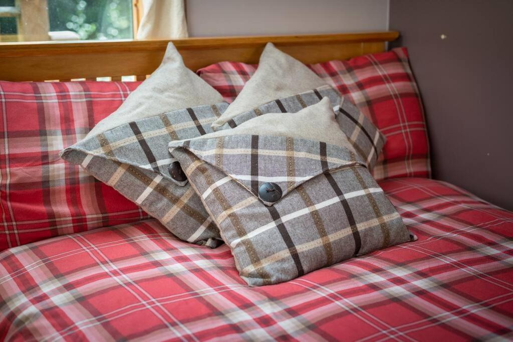 The Beeches Studio, Highlands Of Scotland Newtonmore Eksteriør bilde