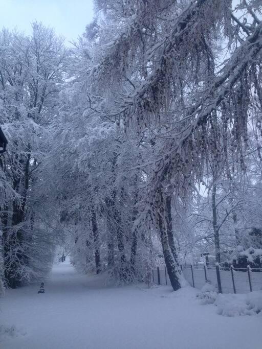 The Beeches Studio, Highlands Of Scotland Newtonmore Eksteriør bilde