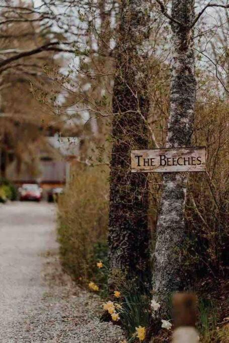 The Beeches Studio, Highlands Of Scotland Newtonmore Eksteriør bilde