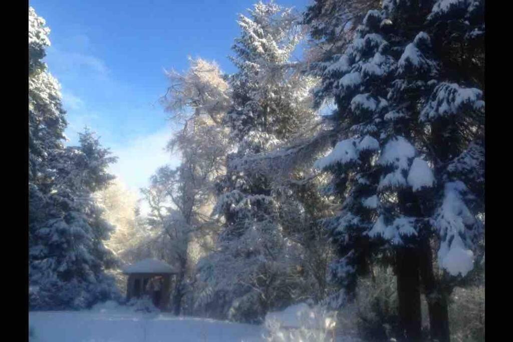 The Beeches Studio, Highlands Of Scotland Newtonmore Eksteriør bilde